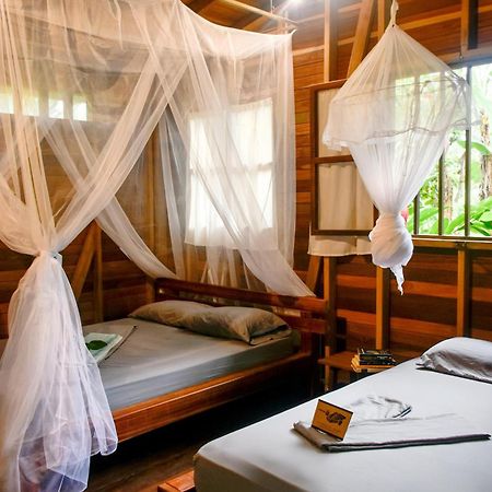La Tarima Del Colibri Ecolodge El Valle  エクステリア 写真