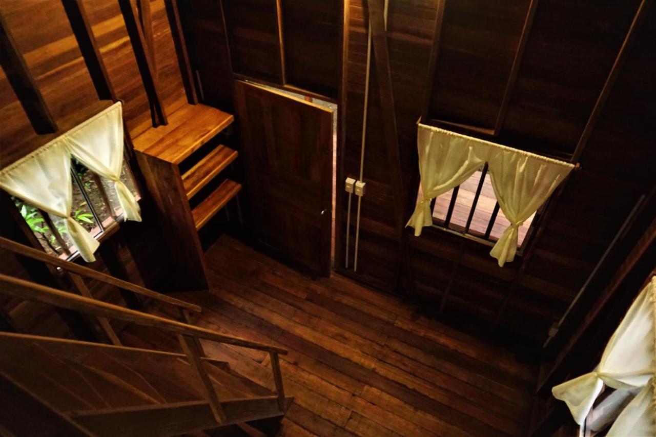 La Tarima Del Colibri Ecolodge El Valle  エクステリア 写真