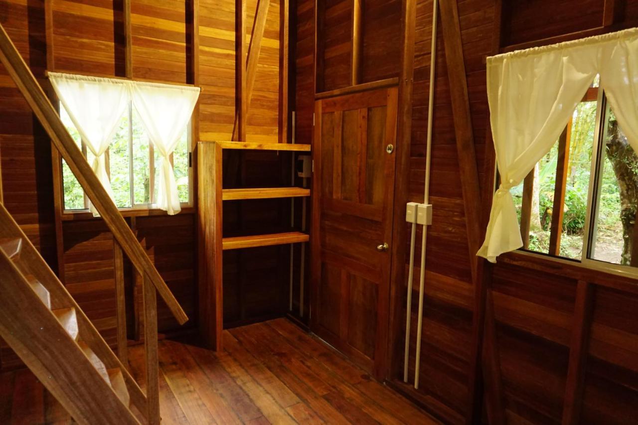La Tarima Del Colibri Ecolodge El Valle  エクステリア 写真