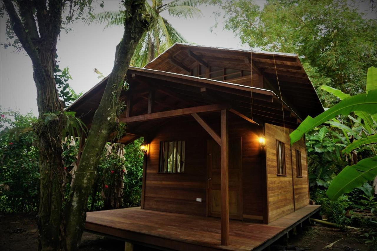 La Tarima Del Colibri Ecolodge El Valle  エクステリア 写真