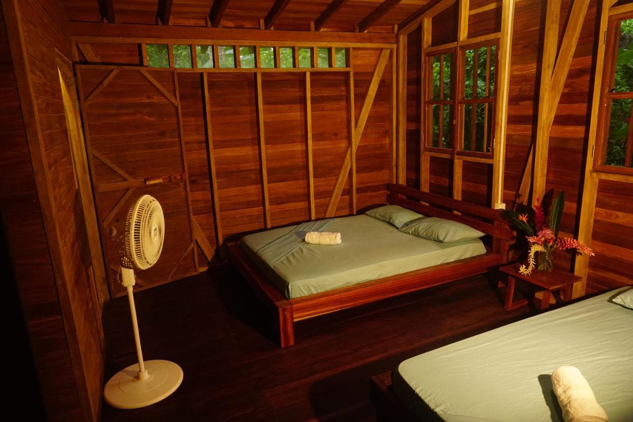 La Tarima Del Colibri Ecolodge El Valle  エクステリア 写真