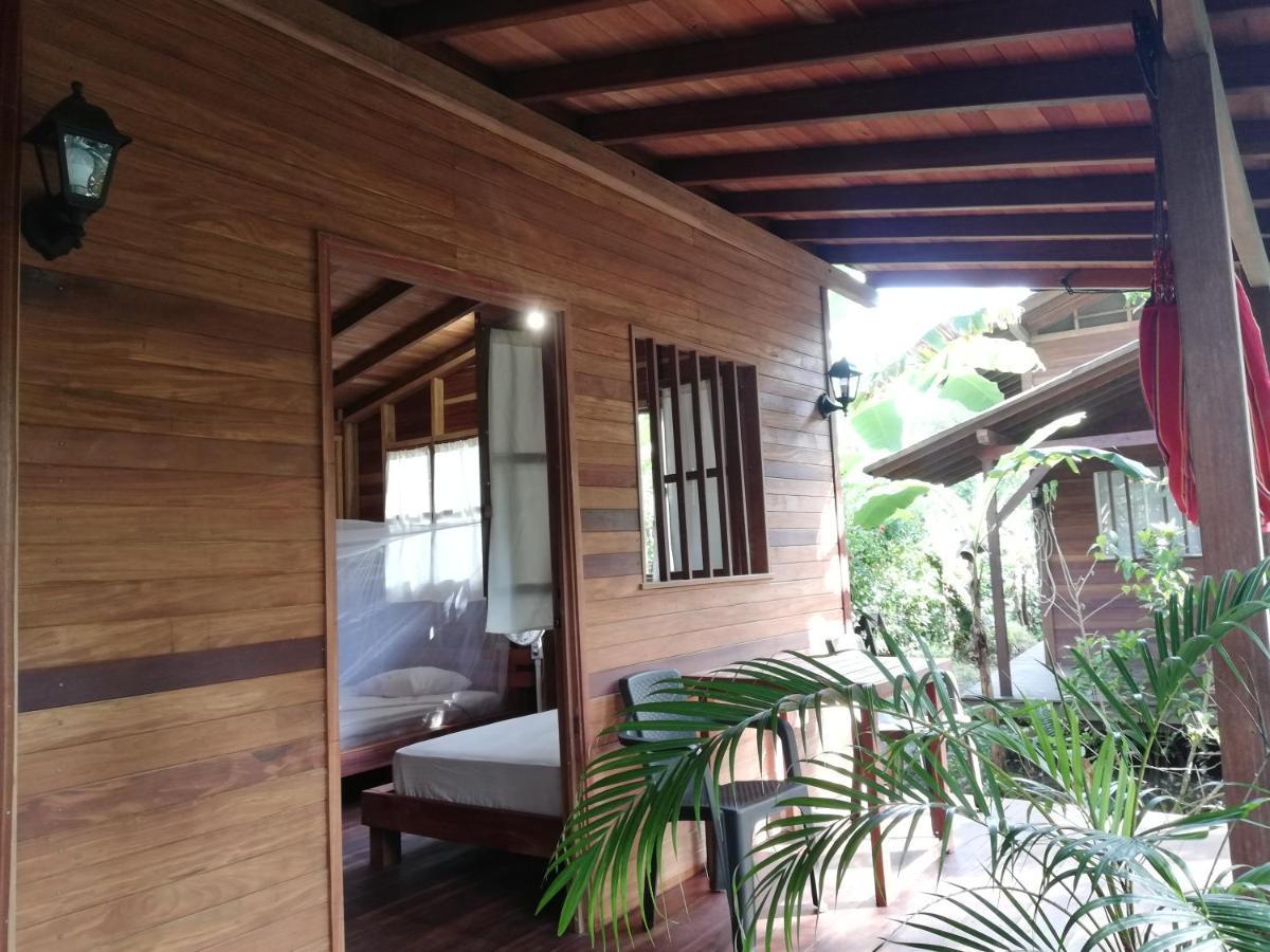 La Tarima Del Colibri Ecolodge El Valle  エクステリア 写真