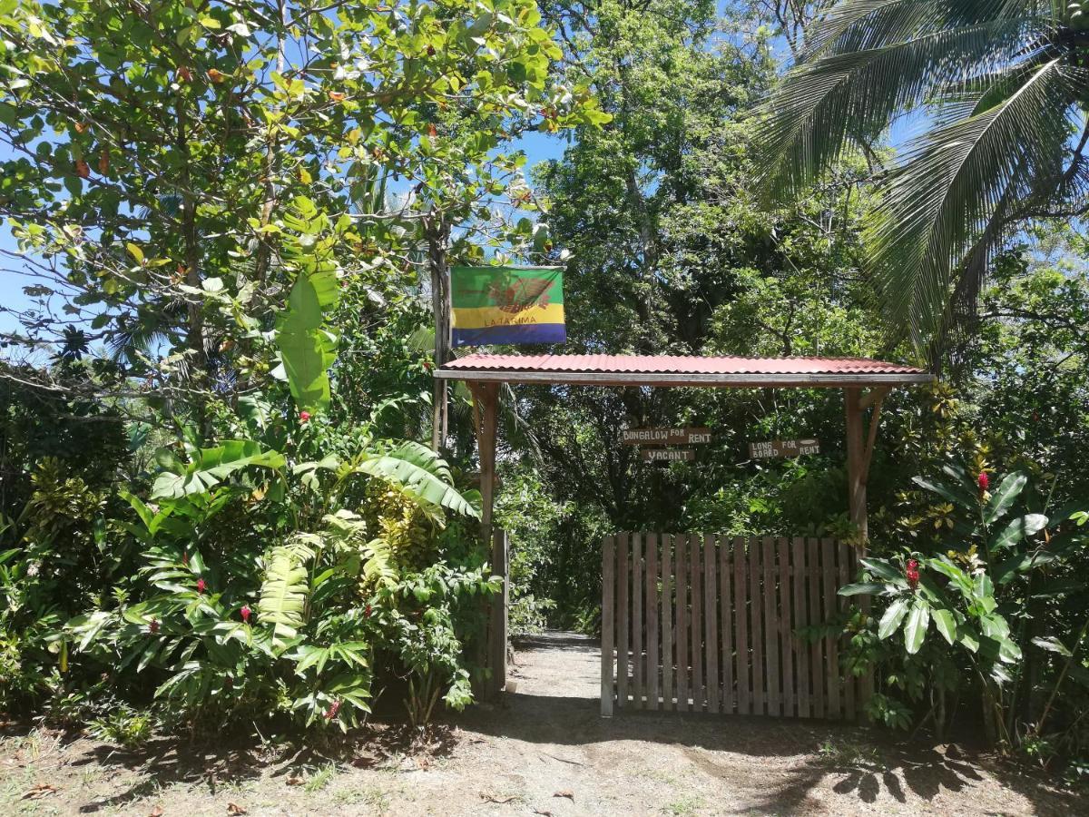 La Tarima Del Colibri Ecolodge El Valle  エクステリア 写真
