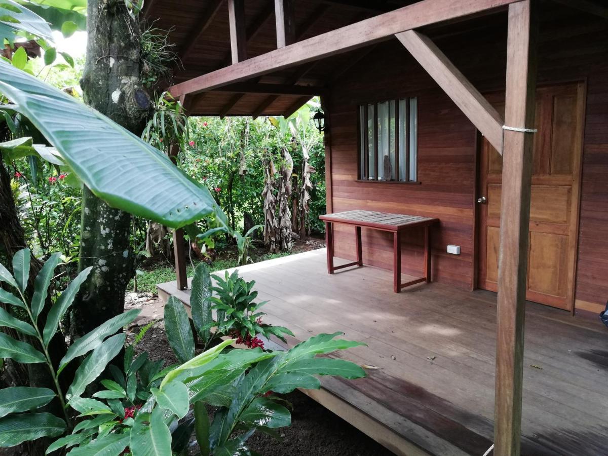 La Tarima Del Colibri Ecolodge El Valle  エクステリア 写真