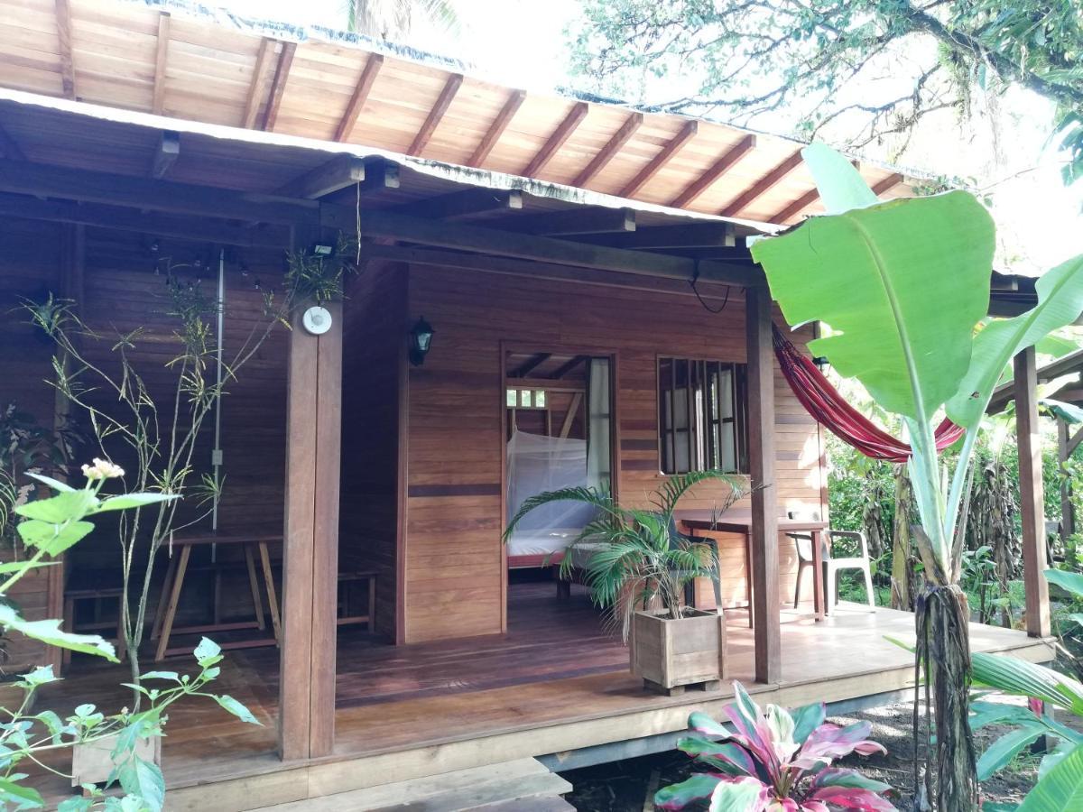 La Tarima Del Colibri Ecolodge El Valle  エクステリア 写真