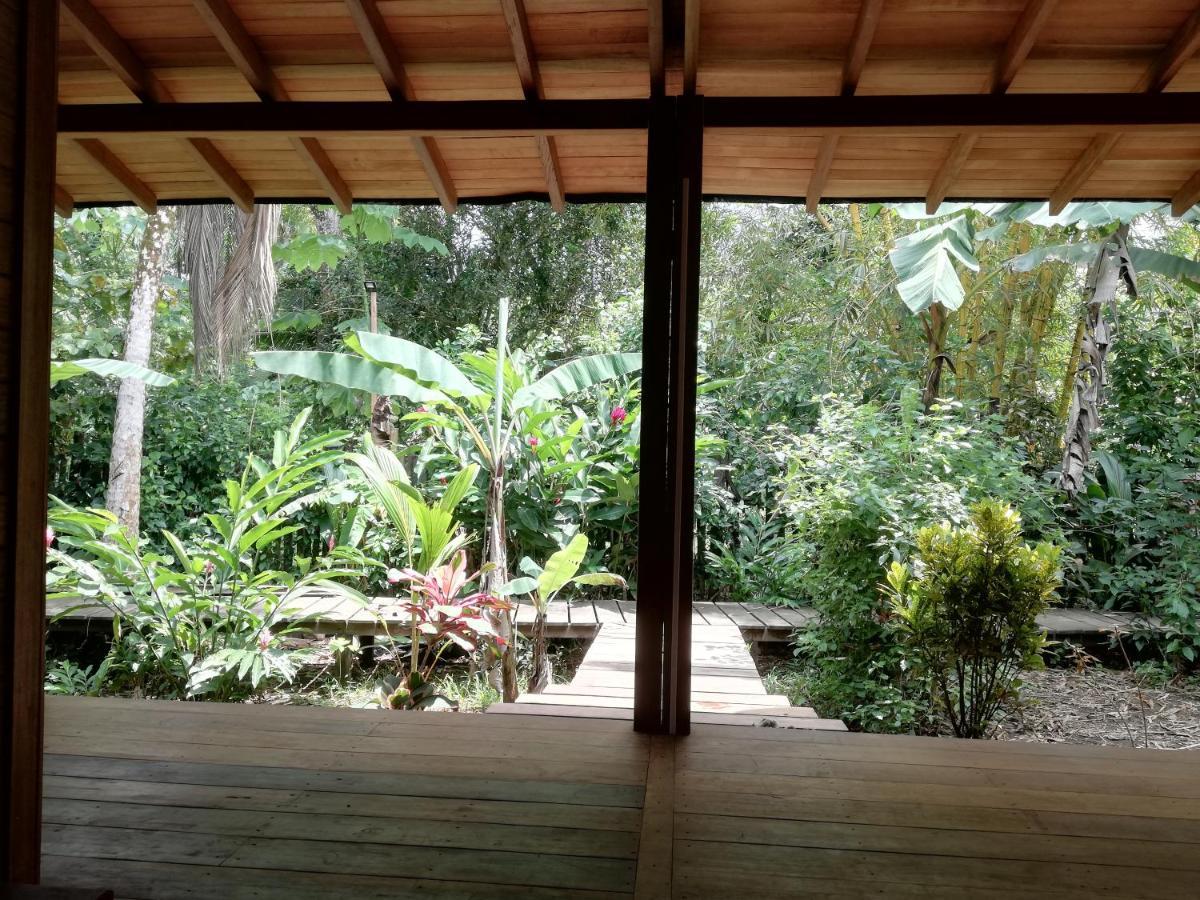 La Tarima Del Colibri Ecolodge El Valle  エクステリア 写真