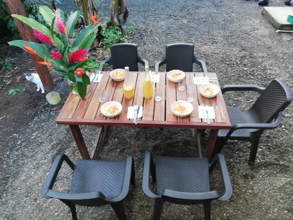 La Tarima Del Colibri Ecolodge El Valle  エクステリア 写真