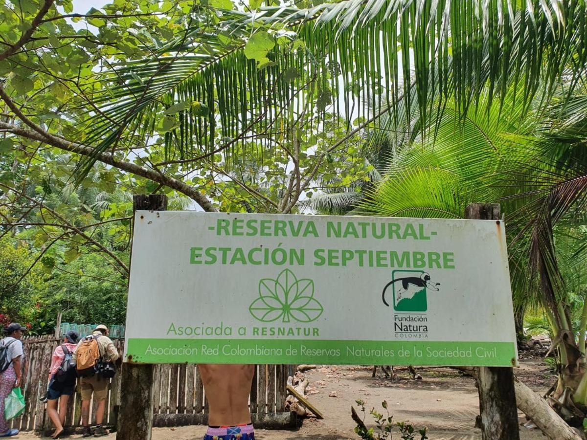 La Tarima Del Colibri Ecolodge El Valle  エクステリア 写真