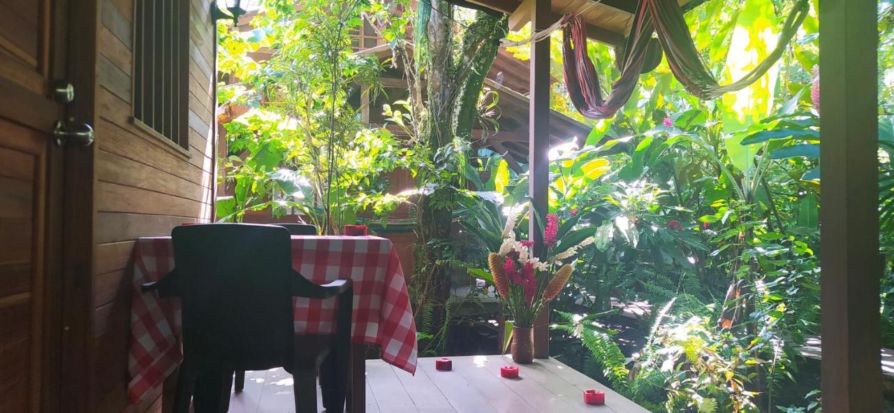 La Tarima Del Colibri Ecolodge El Valle  エクステリア 写真