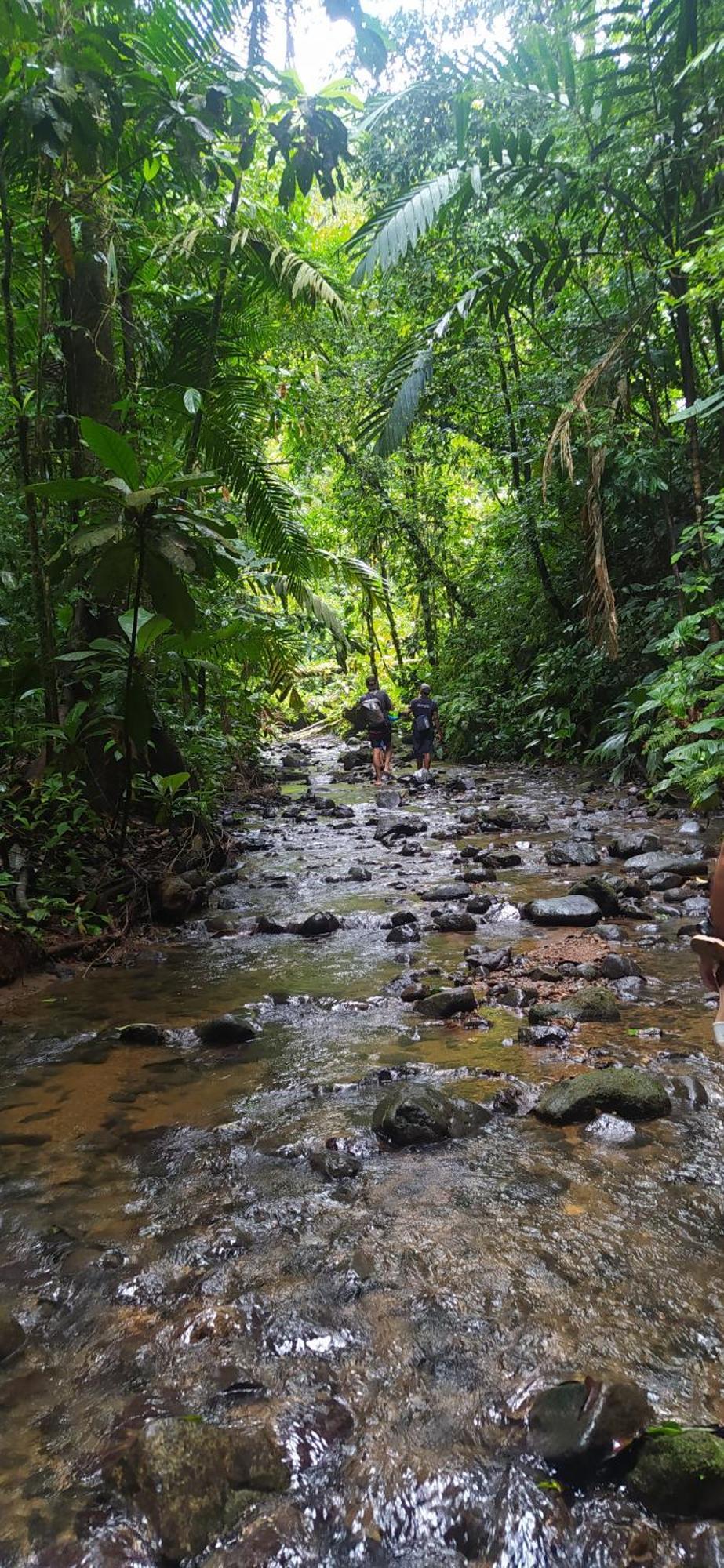 La Tarima Del Colibri Ecolodge El Valle  エクステリア 写真