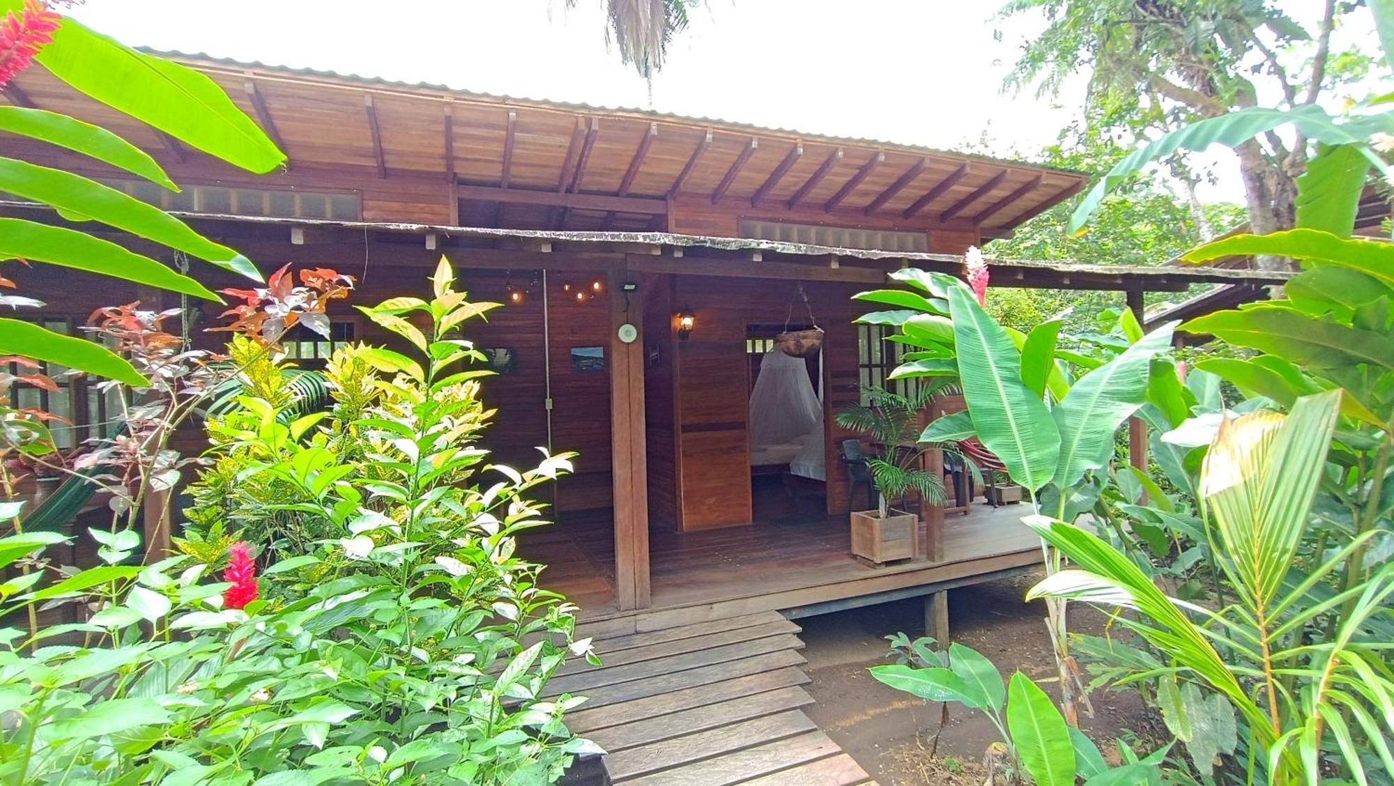 La Tarima Del Colibri Ecolodge El Valle  エクステリア 写真