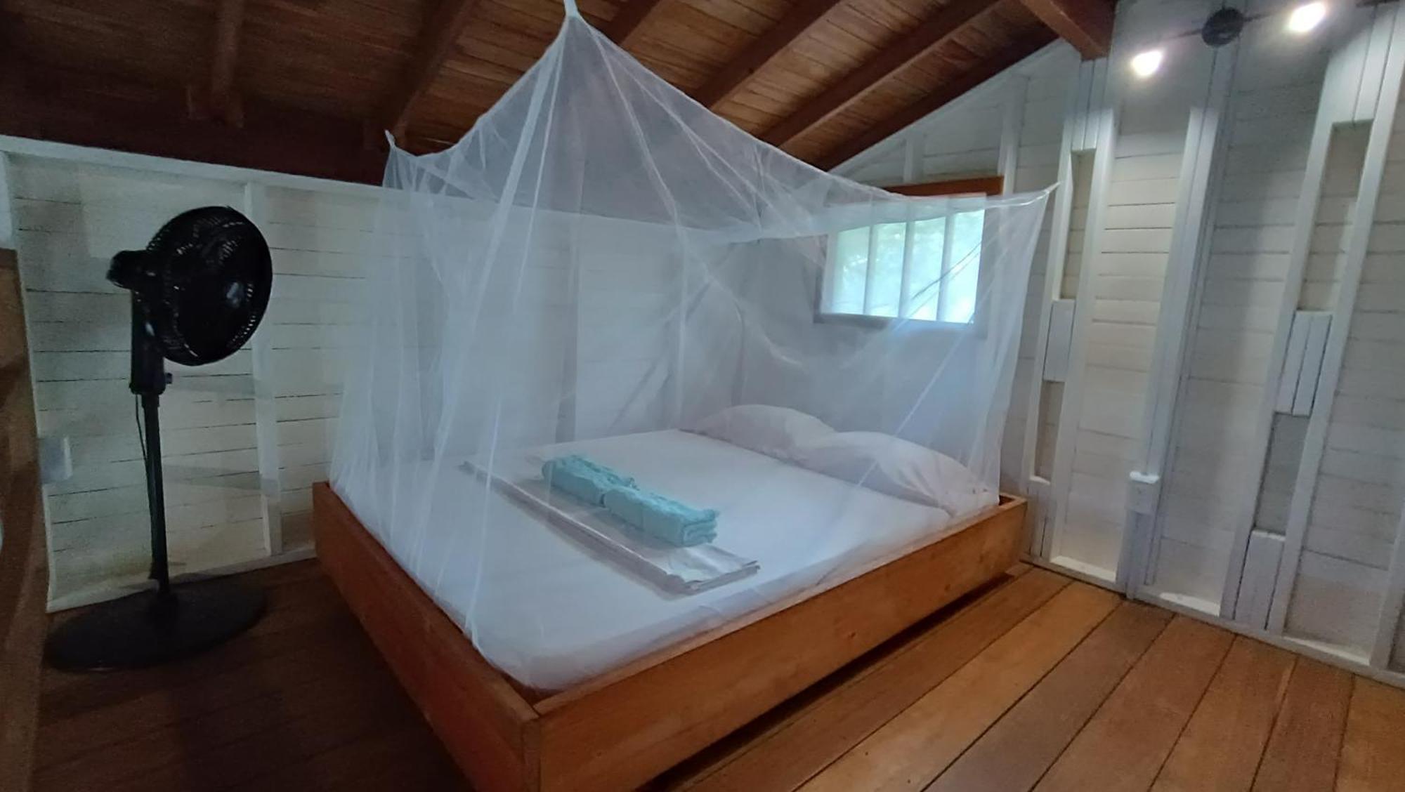 La Tarima Del Colibri Ecolodge El Valle  エクステリア 写真