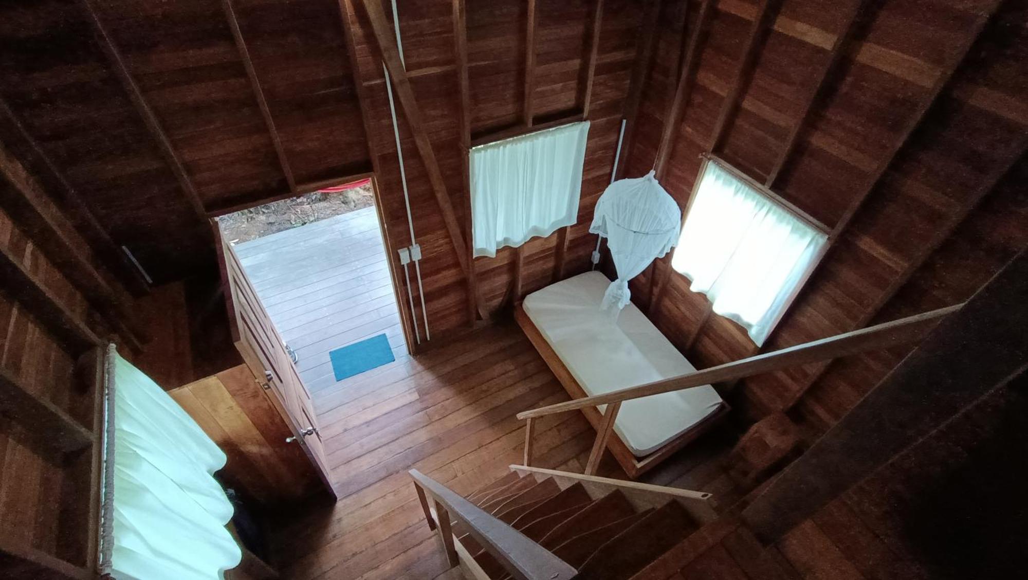 La Tarima Del Colibri Ecolodge El Valle  エクステリア 写真