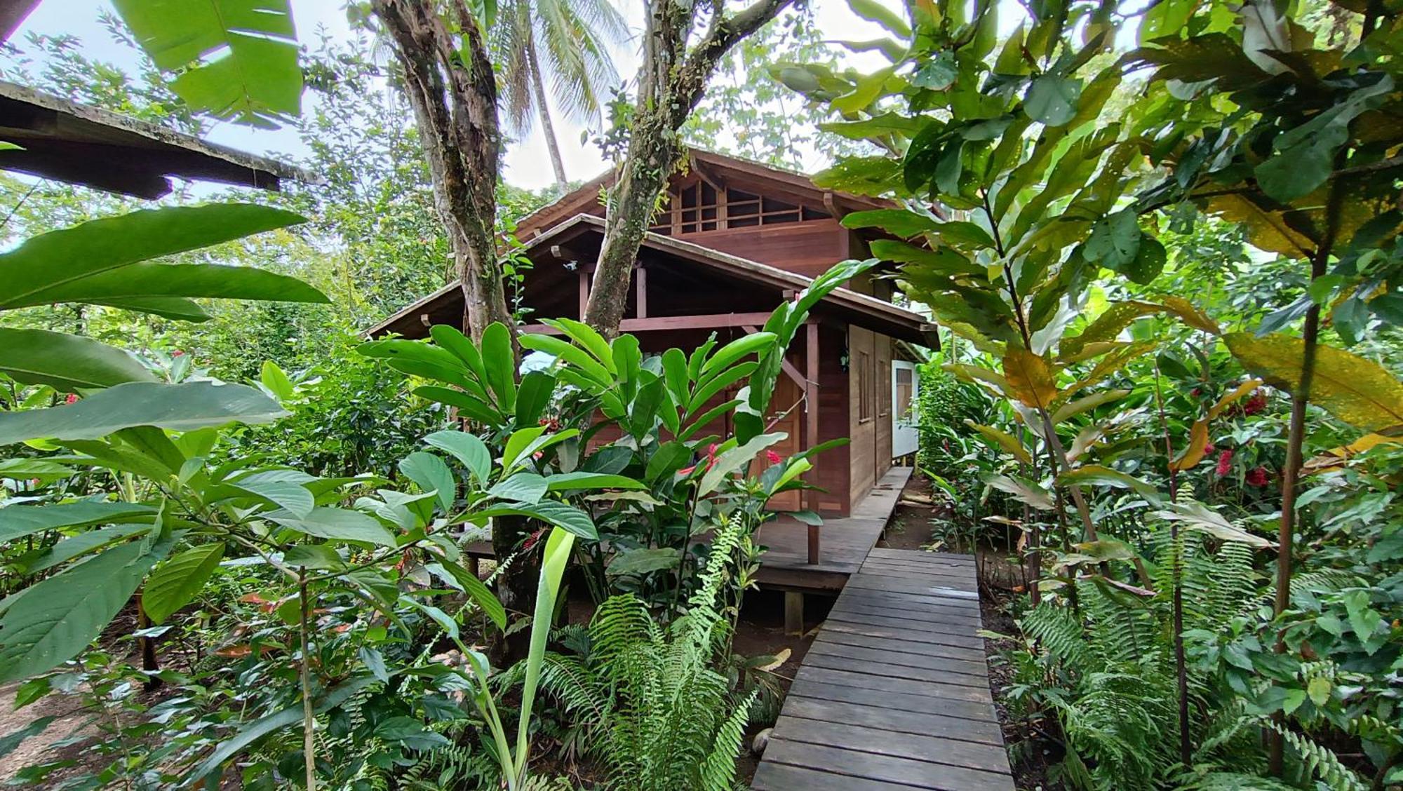La Tarima Del Colibri Ecolodge El Valle  エクステリア 写真