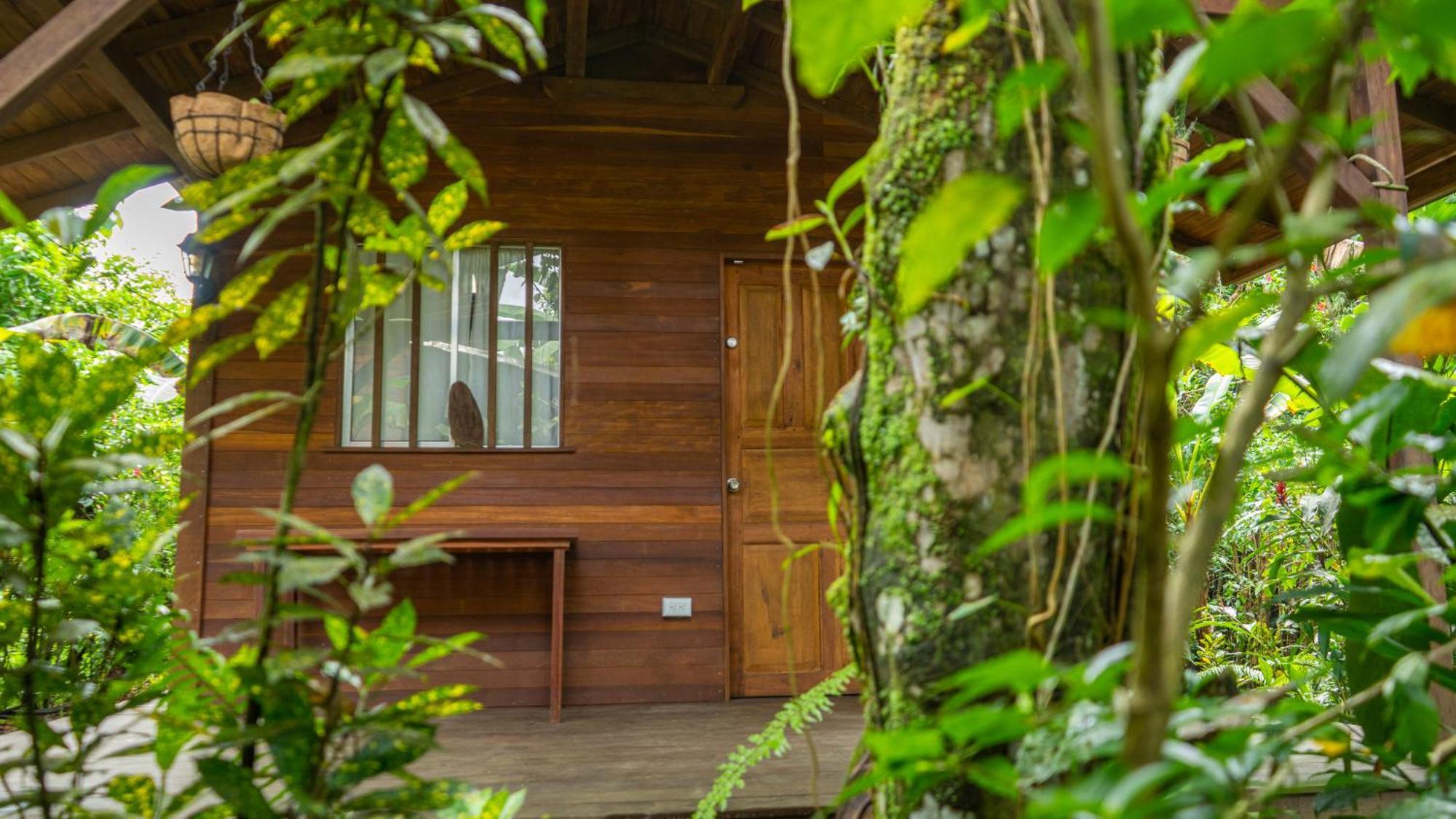 La Tarima Del Colibri Ecolodge El Valle  エクステリア 写真
