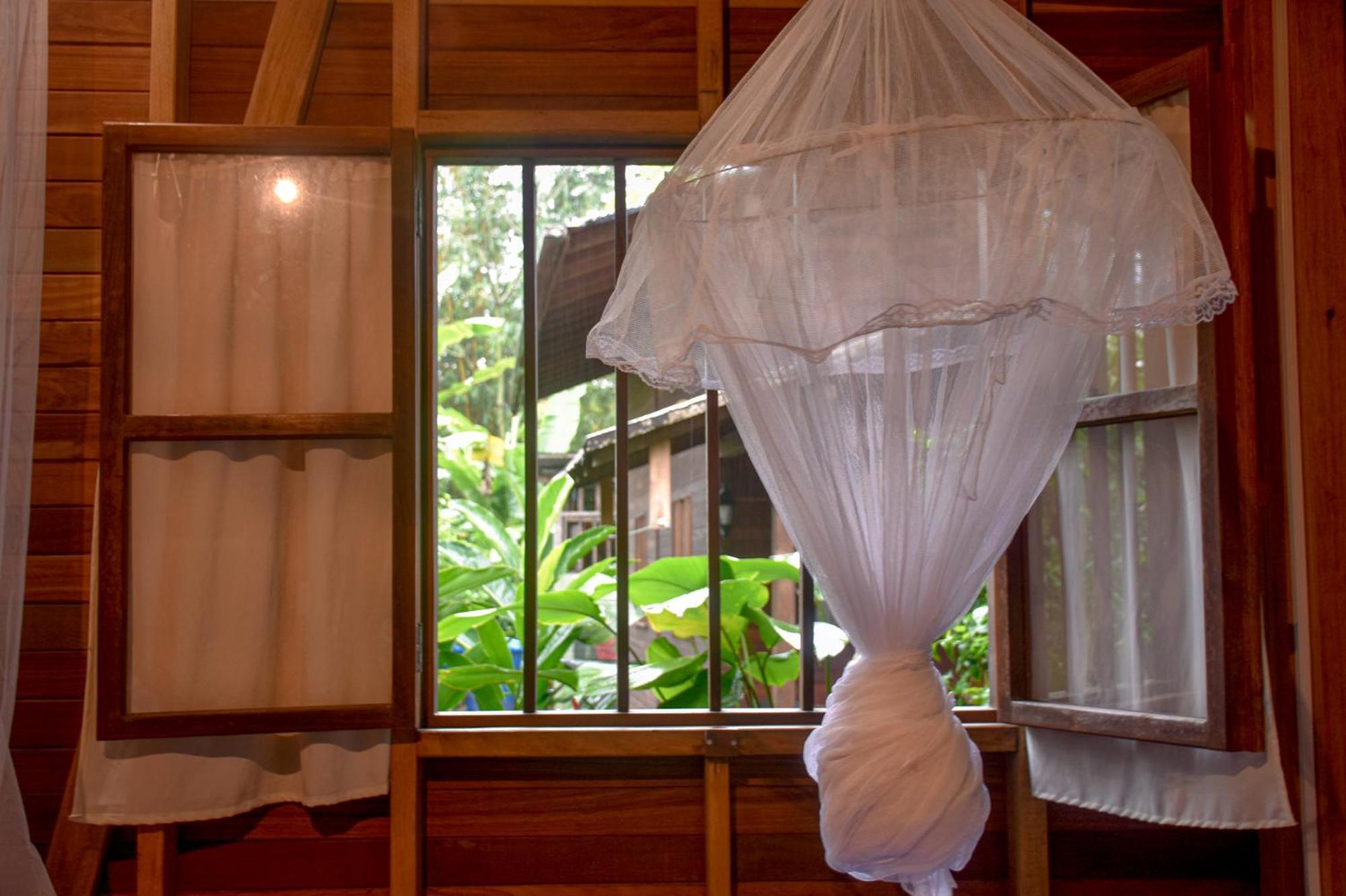 La Tarima Del Colibri Ecolodge El Valle  エクステリア 写真