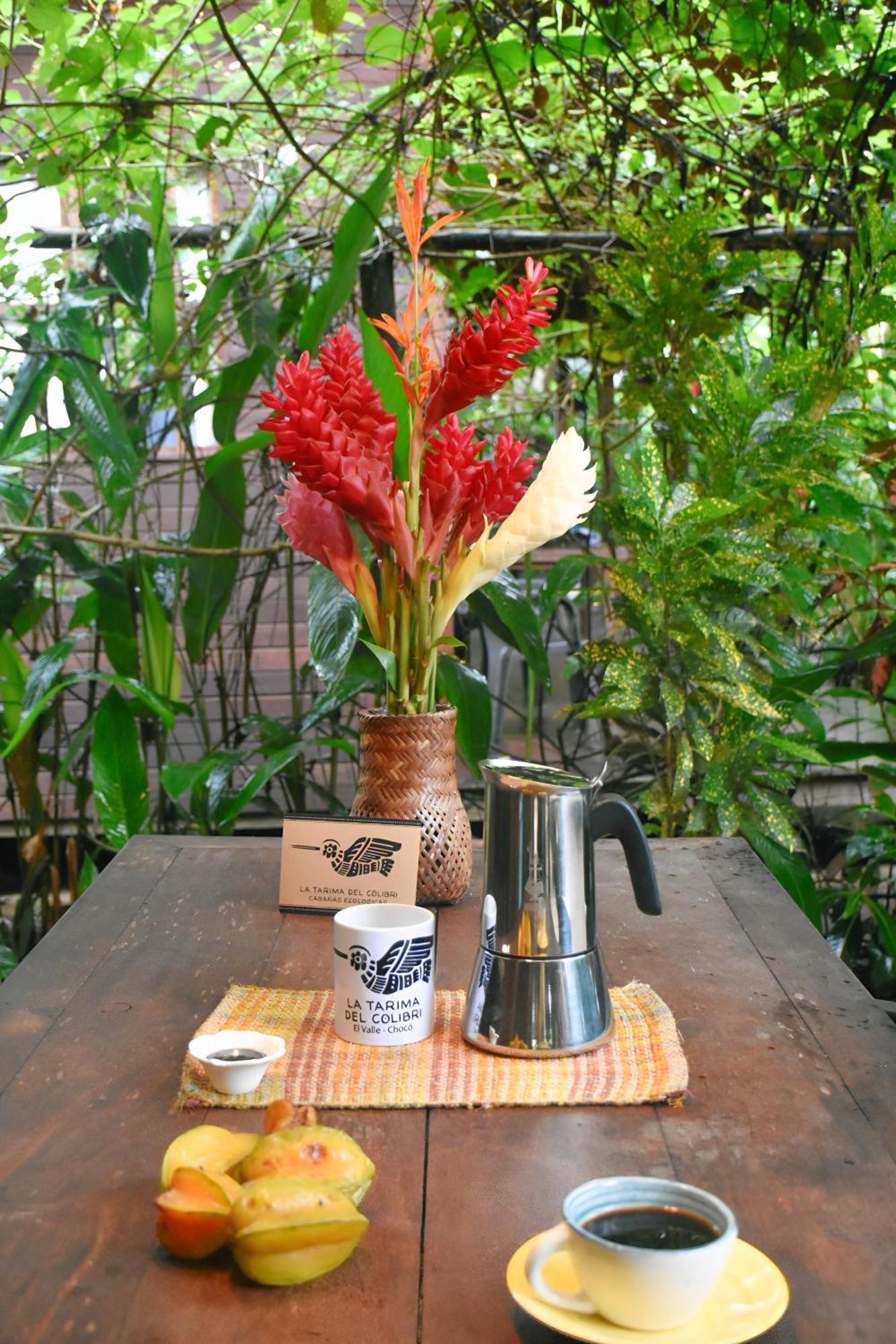 La Tarima Del Colibri Ecolodge El Valle  エクステリア 写真