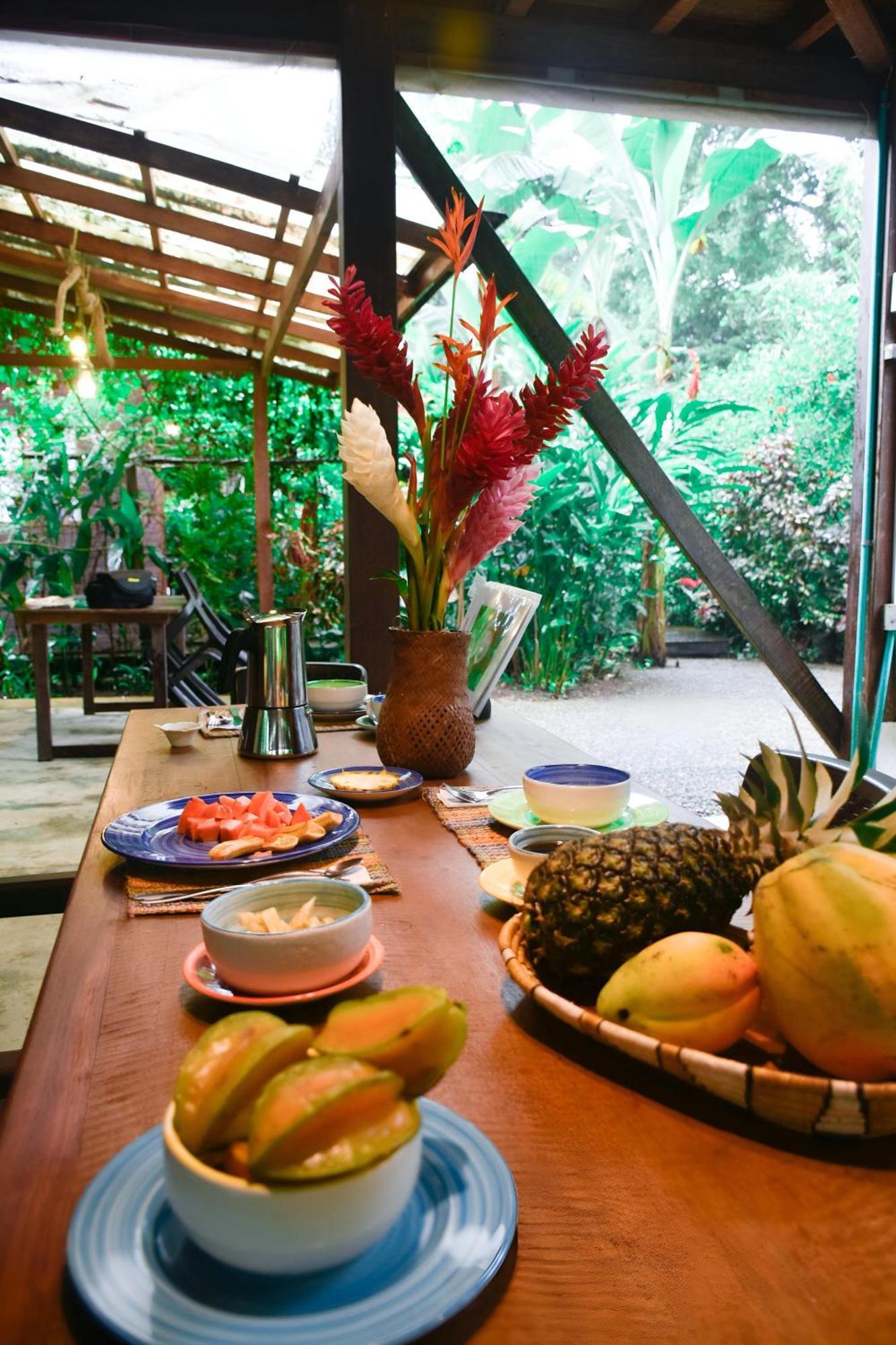 La Tarima Del Colibri Ecolodge El Valle  エクステリア 写真