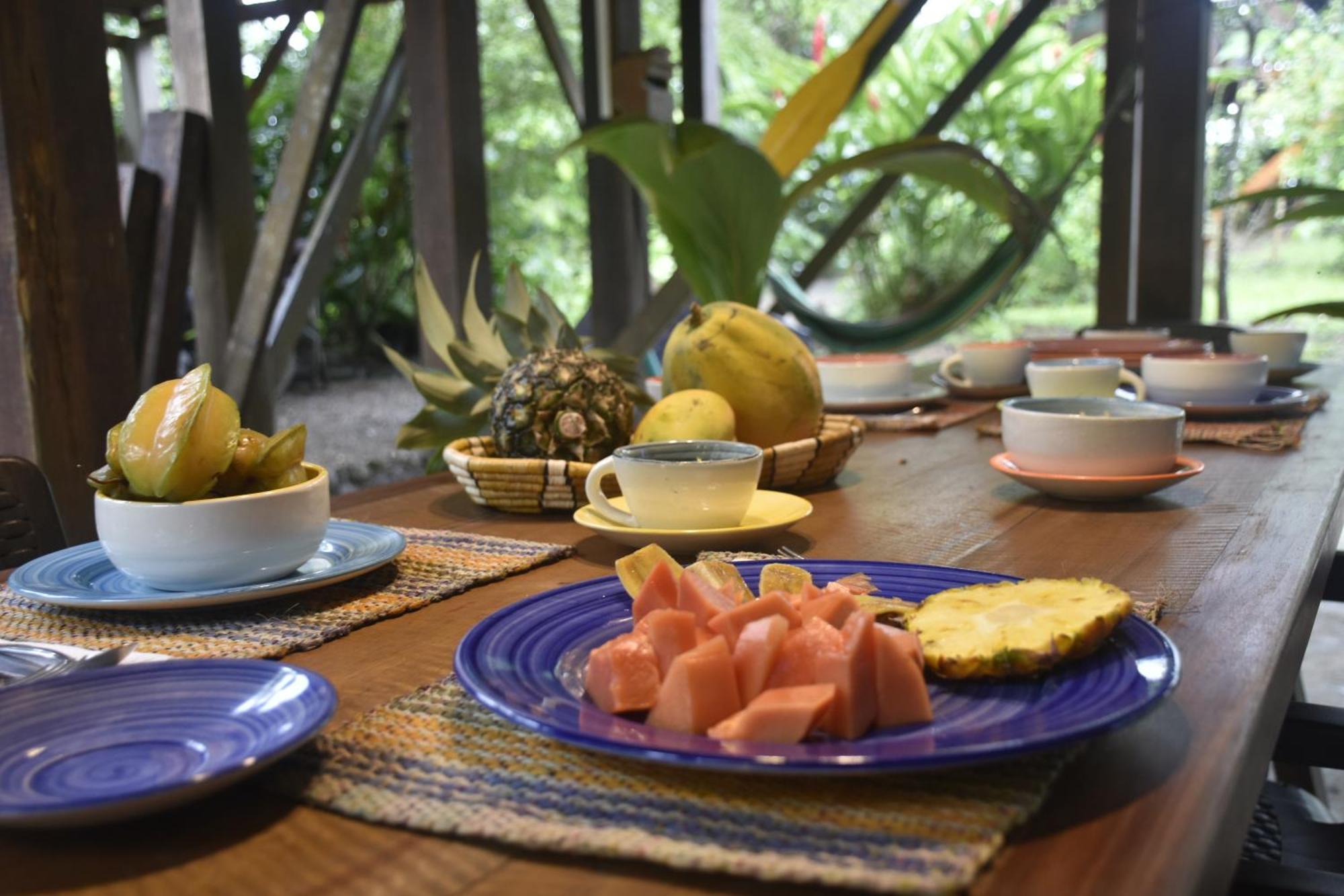 La Tarima Del Colibri Ecolodge El Valle  エクステリア 写真