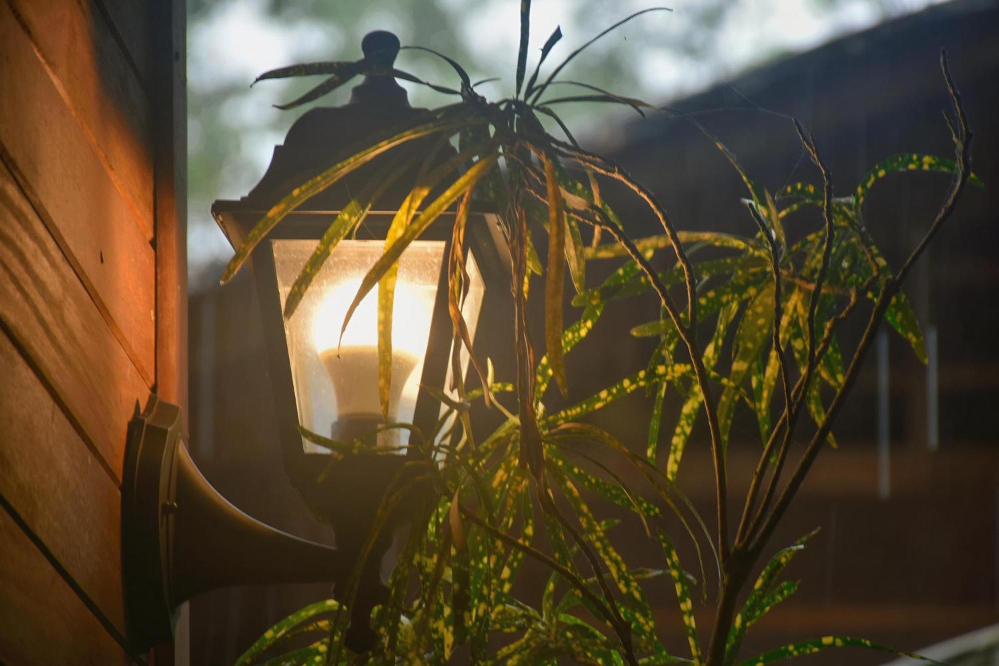La Tarima Del Colibri Ecolodge El Valle  エクステリア 写真