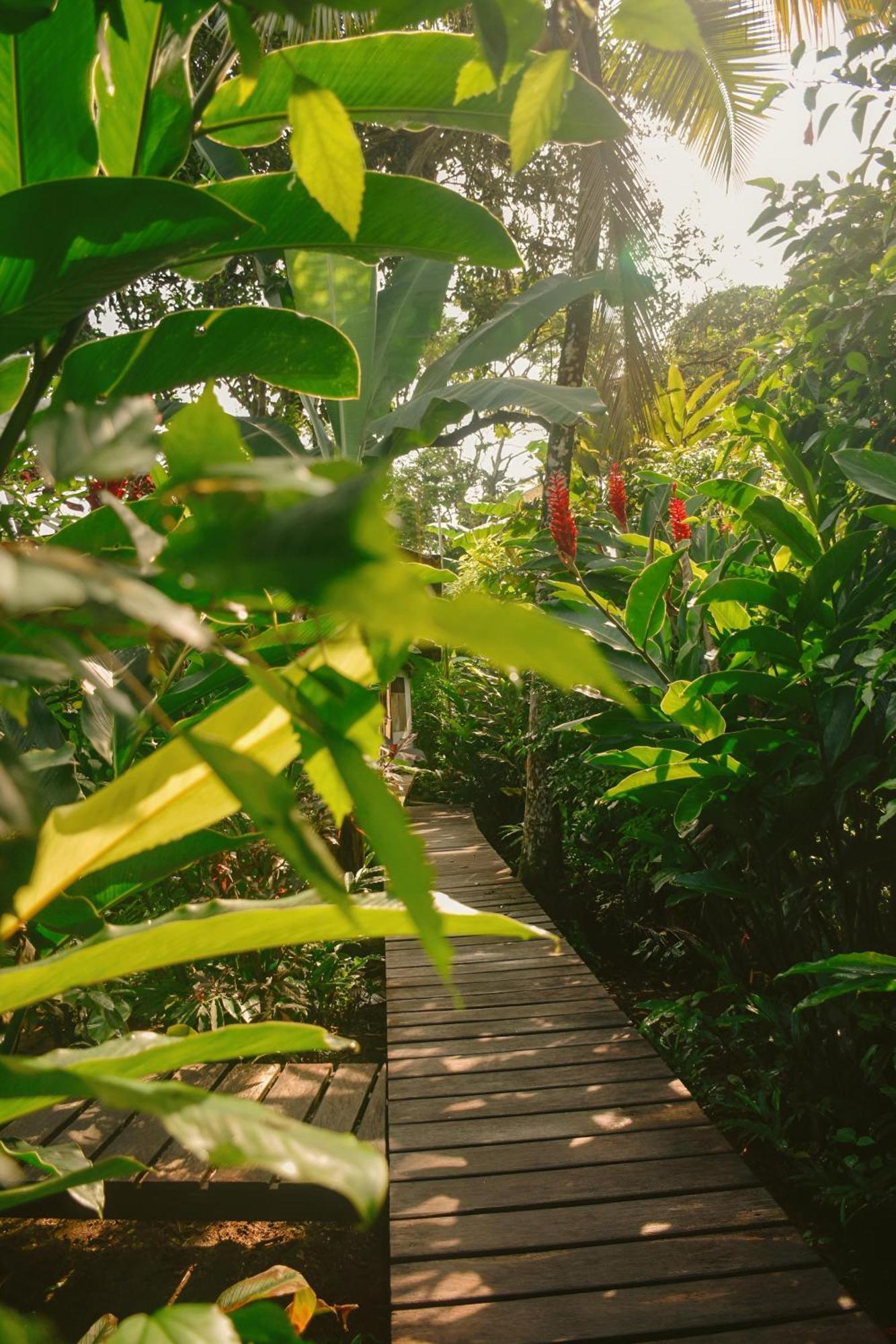 La Tarima Del Colibri Ecolodge El Valle  エクステリア 写真