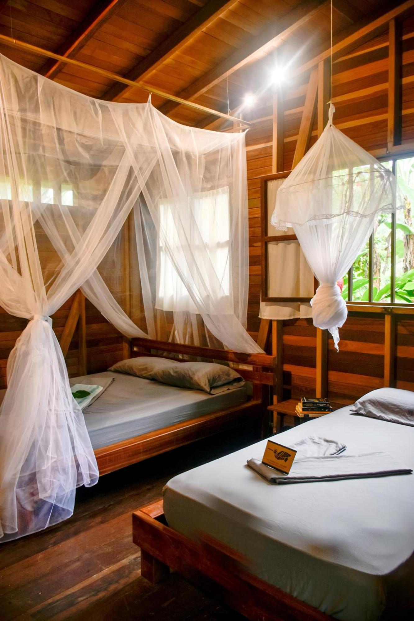 La Tarima Del Colibri Ecolodge El Valle  エクステリア 写真