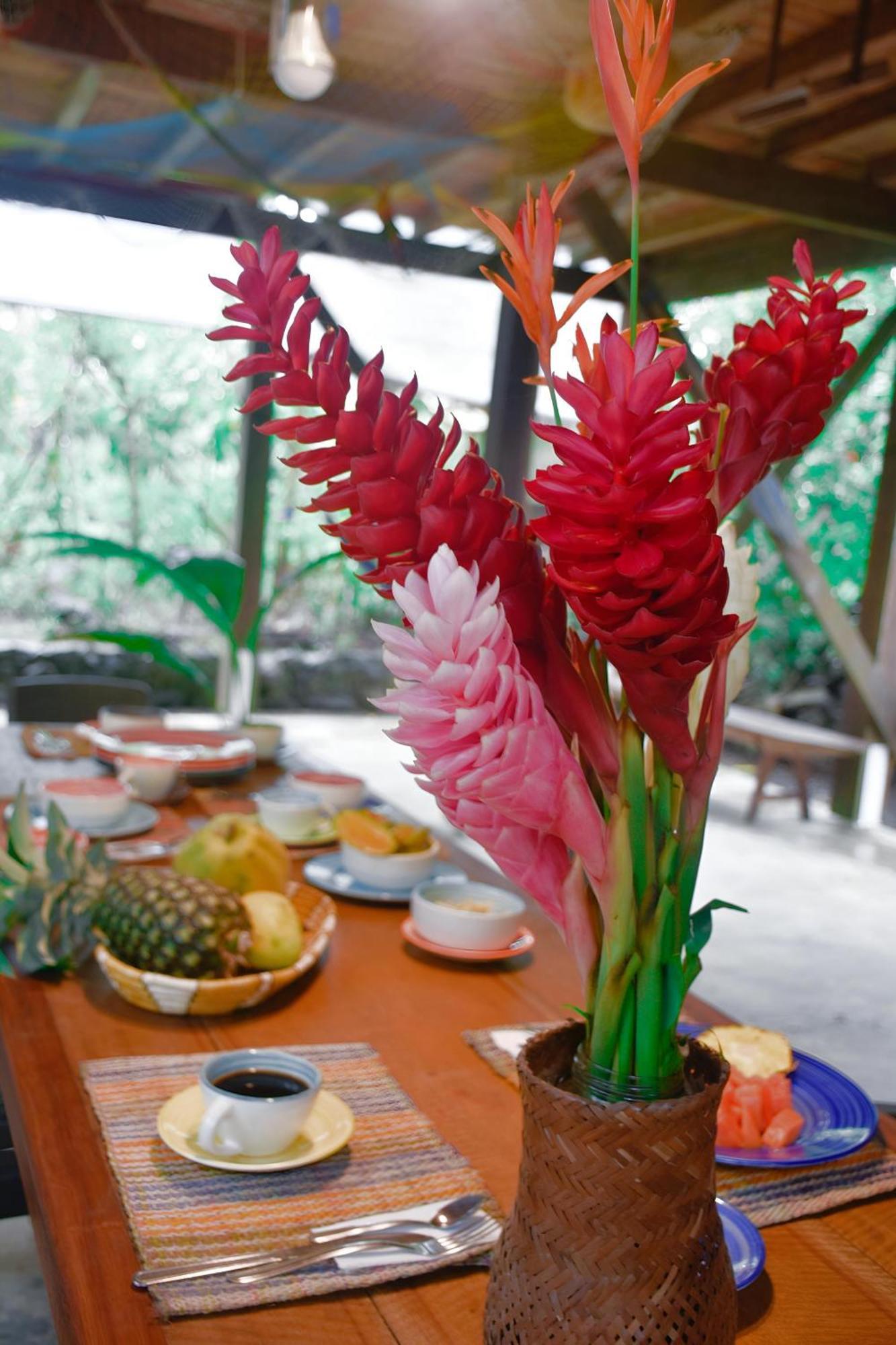 La Tarima Del Colibri Ecolodge El Valle  エクステリア 写真