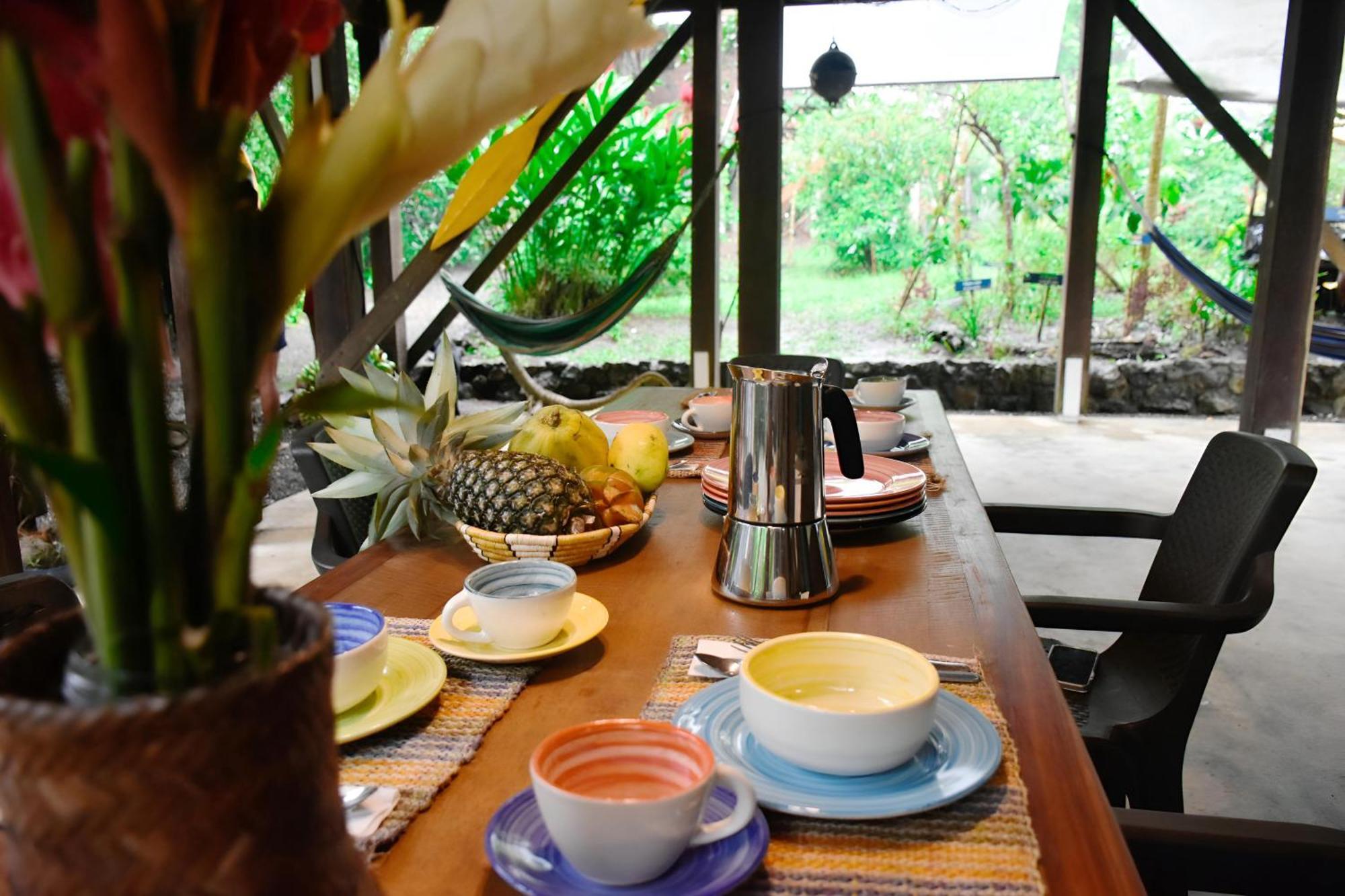 La Tarima Del Colibri Ecolodge El Valle  エクステリア 写真