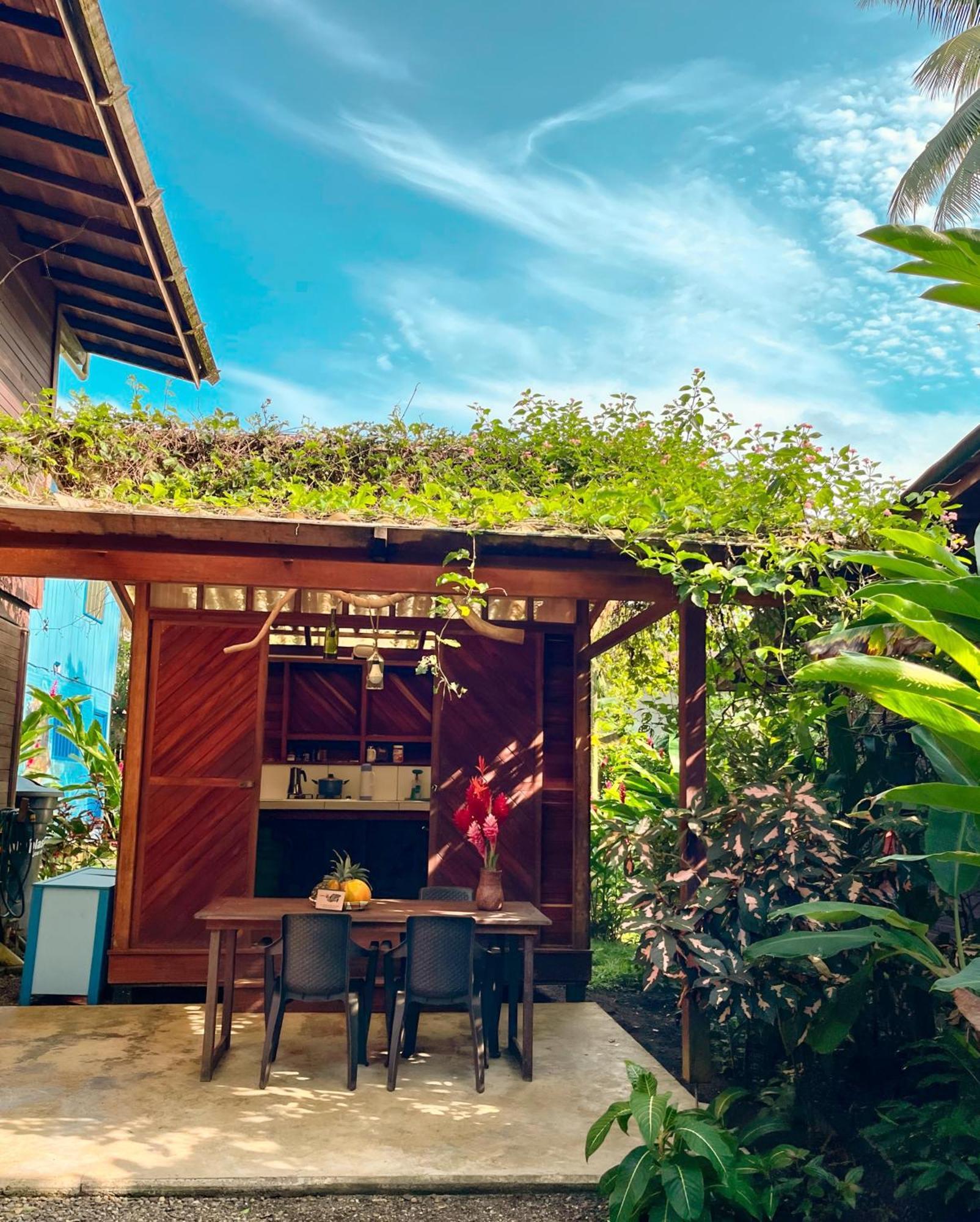 La Tarima Del Colibri Ecolodge El Valle  エクステリア 写真