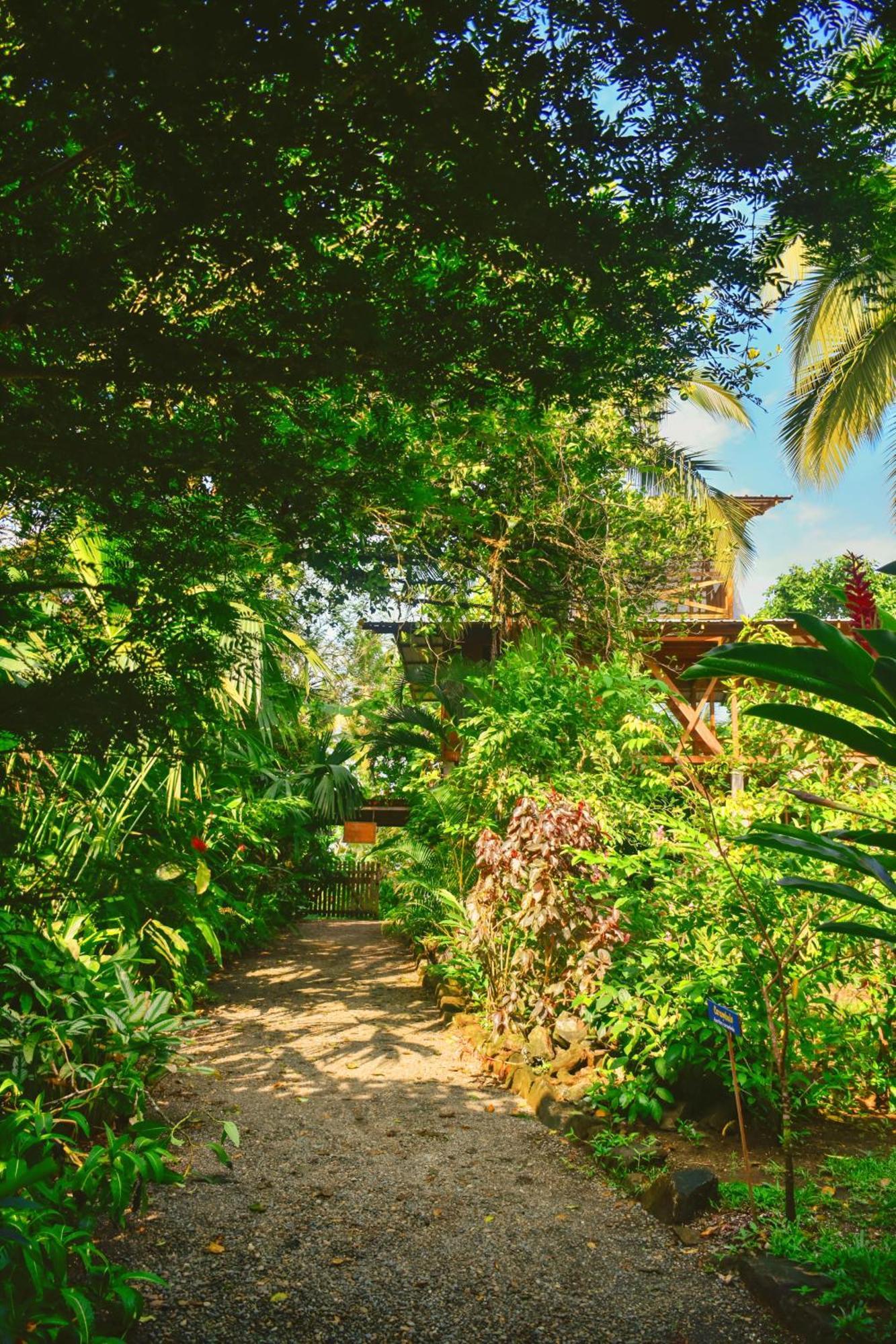 La Tarima Del Colibri Ecolodge El Valle  エクステリア 写真