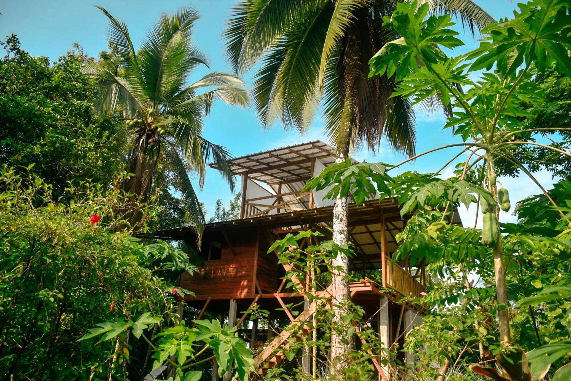 La Tarima Del Colibri Ecolodge El Valle  エクステリア 写真